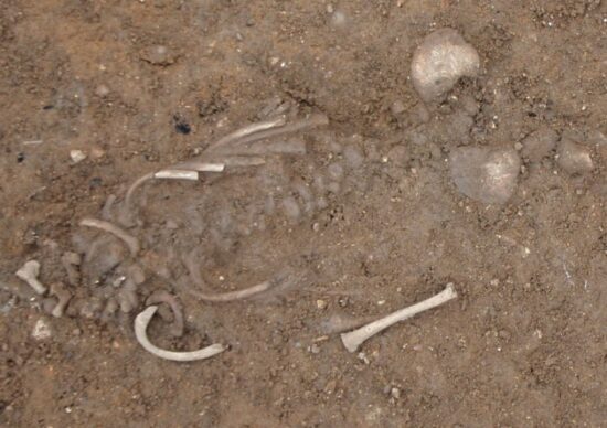 Stillborn child buried in the yard of a house in Huntingdon, Cambridgeshire