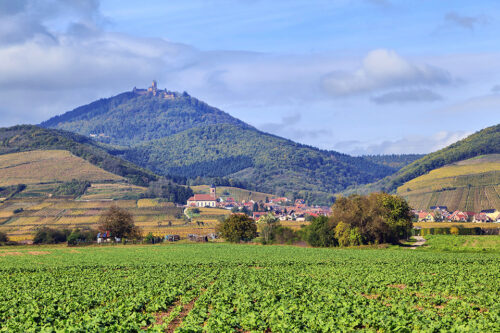 Chateau de Haut Koenigsbourg in Alsace © ID 46196501/ Sergey Dzyuba/Dreamstime.com