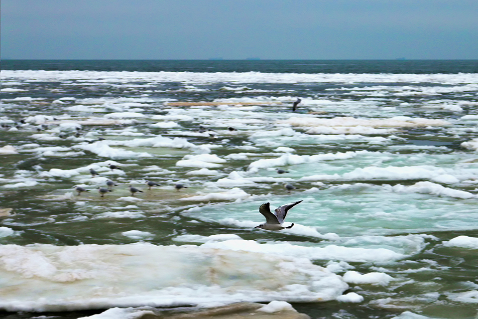 Ice in Sea in front of Odessa © Igor semiuk/Dreamstime 52010917