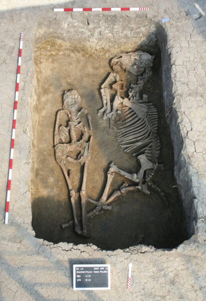 Burial with a horse at the Rákóczifalva site, Hungary (8th century AD). This male individual, who died at a young age,… [more]© Institute of Archaeological Sciences, Eötvös Loránd University Múzeum, Budapest, Hungary