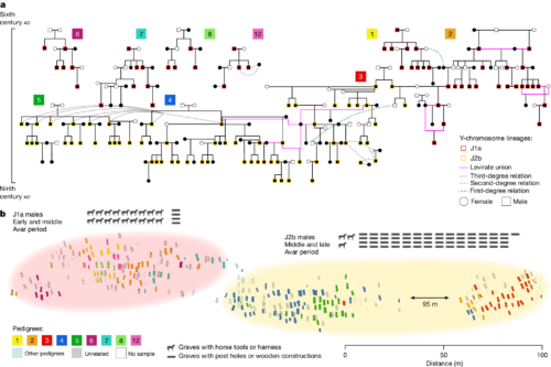 The largest set of interconnected pedigrees reconstructed in RK and the cemetery map highlighting the burial location of related individuals © Network of large pedigrees reveals social practices of Avar communities. Nature, 2024; DOI: 10.1038/s41586-024-07312-4