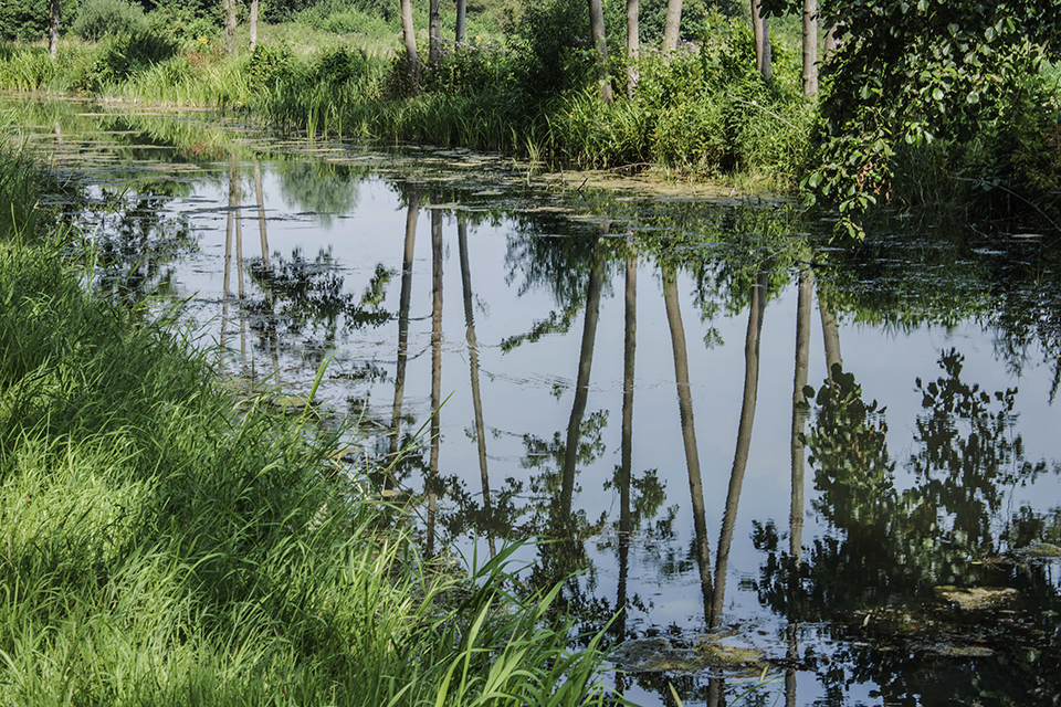 Grote Beek. © Henkbiouwers/ Dreamstime 2257460882