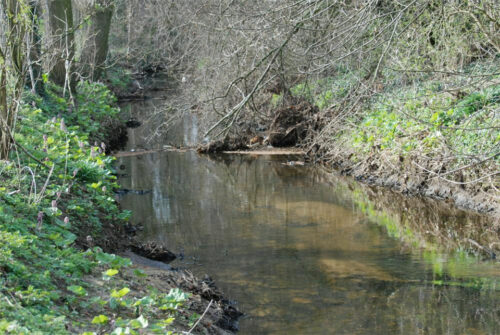 A Creek in the riverscape of the lower Rhine