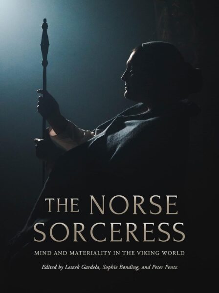 Cover the Norse Sorceror