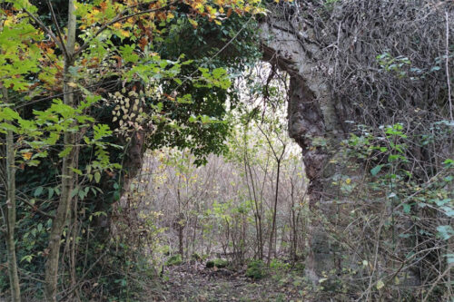 Castel Paterno. Source: Google Map/Marco Damico