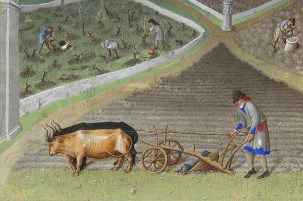 The Heavy Plough - Medieval History