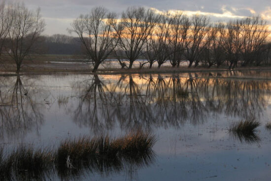 Sunset over the Natural park, the Bourgoyen south of Ghent. Source: Wikipedia