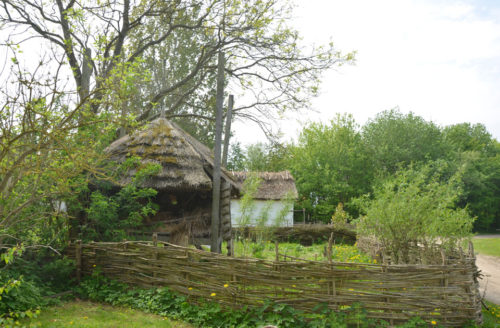 A garden at the medieval Centre at Falster © Medieval Histories