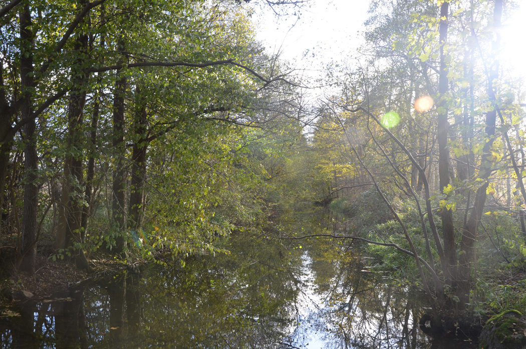 Channel near the Cistercian Monastery at Esrum in Denmark