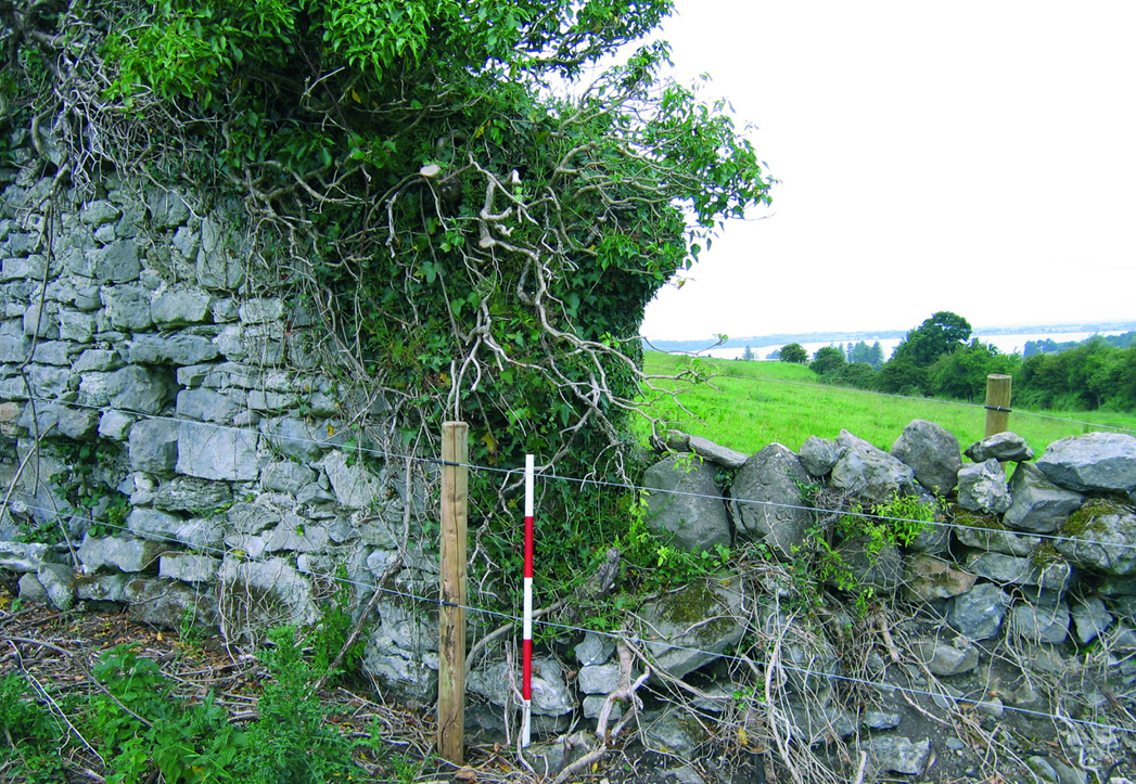 Deerpark at Earlspark, Loughrea, Co Galway