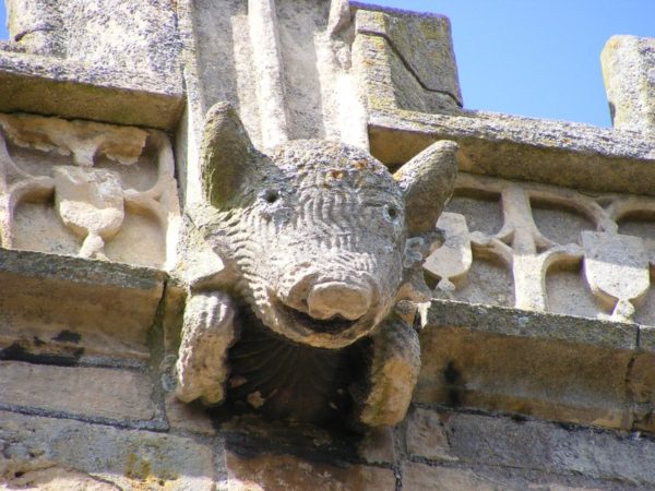 Gargoyle in the form of a pig © Laxton Church