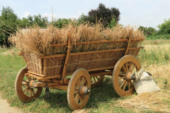 Harvesting at Lorsch 2019