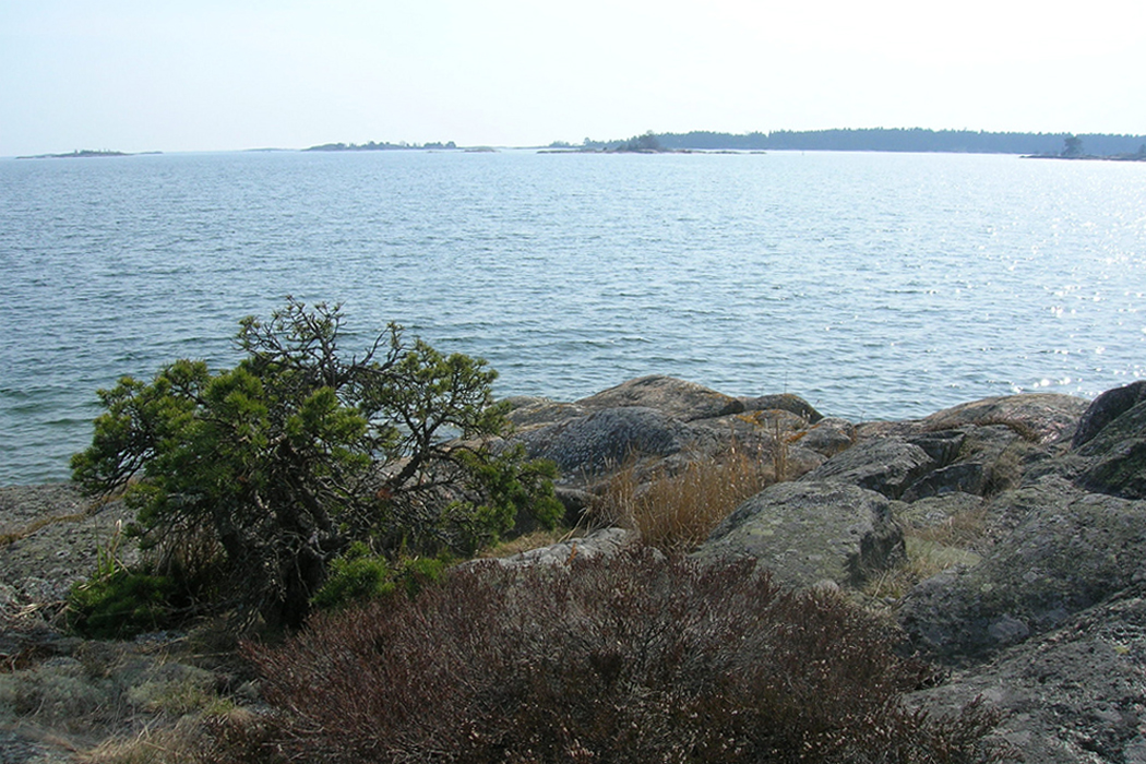 Helgö near Mälaren source pinterest