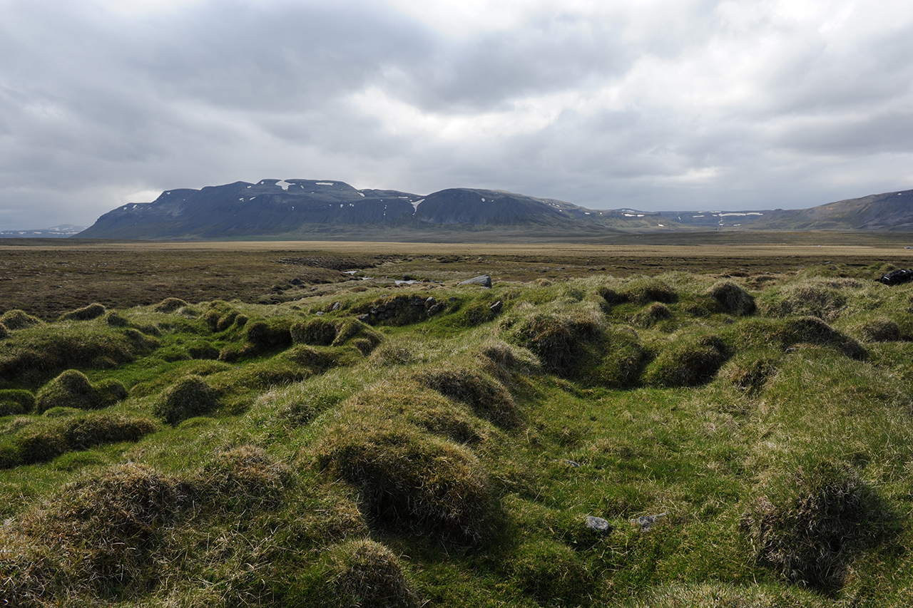 Neo Pagan Temple Built In Iceland Medieval Histories