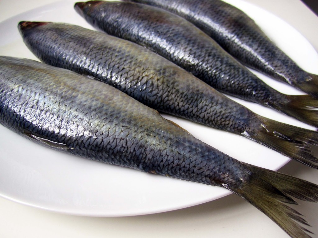 Raw Herrings