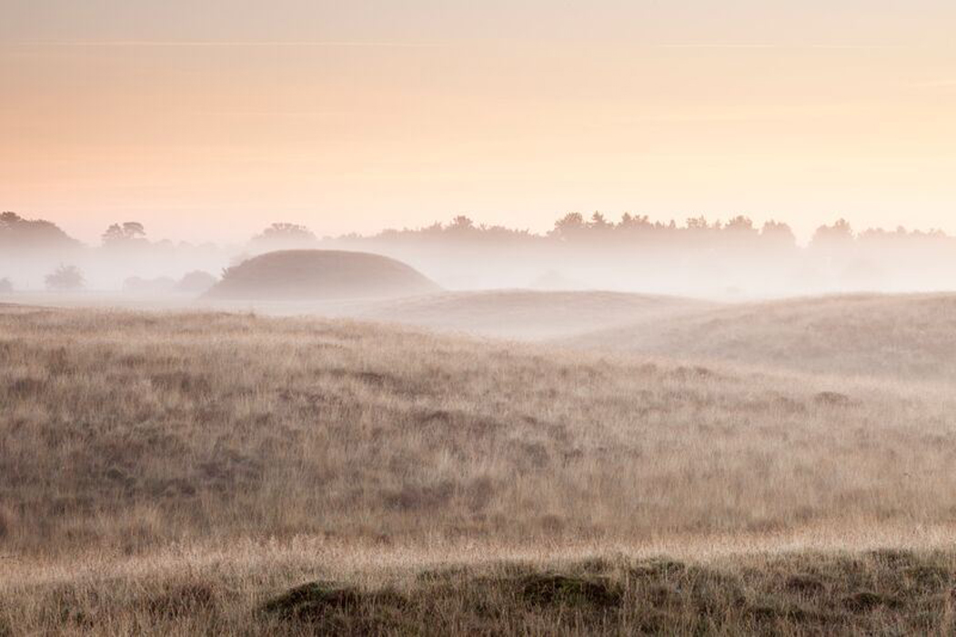 Sutton Hoo © National Trust