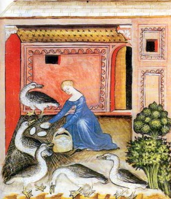 Woman feeding her geese. from Tacuinum Sanitatis, Lombardy, late 14th century (Biblioteca Casanatense, Rome).