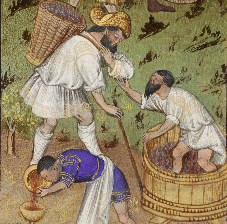 Harvesting Wine - From: Grandes Heures de Rohan, Anjou - copyright BnF